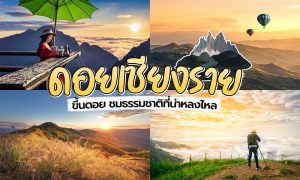 ดอยเชียงราย 2026 เที่ยวดอยสวยๆ ม่านหมอกเชียงราย!!
