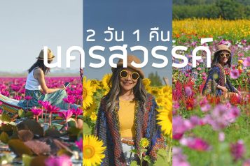 นครสวรรค์ ว้าวมาก 2 วัน 1 คืน ทุ่งดอกไม้ 3 แห่ง