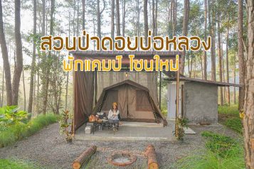 สวนป่าดอยบ่อหลวง พักโซนใหม่ เต้นท์แคมป์ปิ้ง