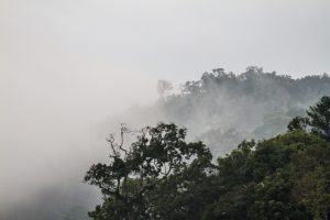 อุทยานแห่งชาติแก่งกระจาน