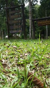อุทยานแห่งชาติเขาปู่-เขาย่า