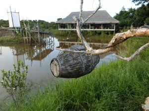 ทะเลสาบสงขลา