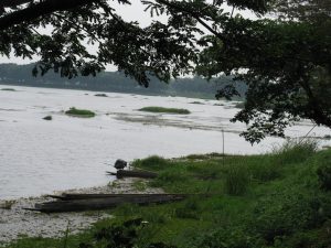 ทะเลสาบหนองหาน