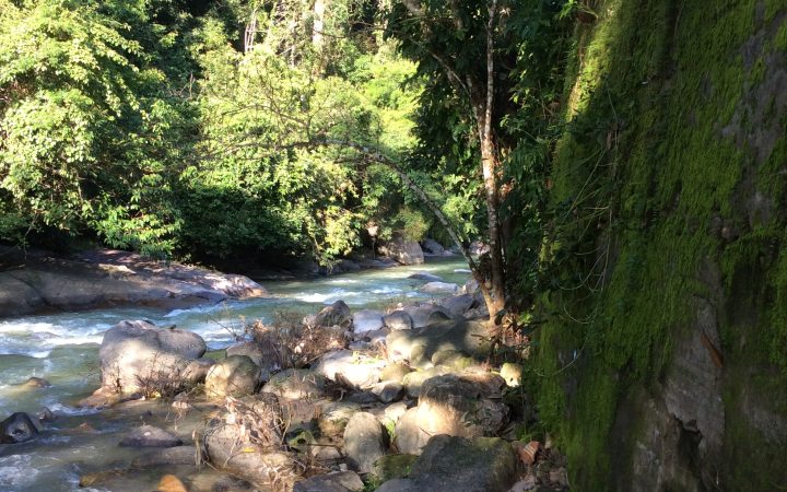 อุทยานแห่งชาติน้ำตกหงาว