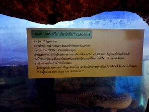 ศูนย์วิทยาศาสตร์เพื่อการศึกษา