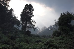 อุทยานแห่งชาติเขาหลัก-ลำรู่