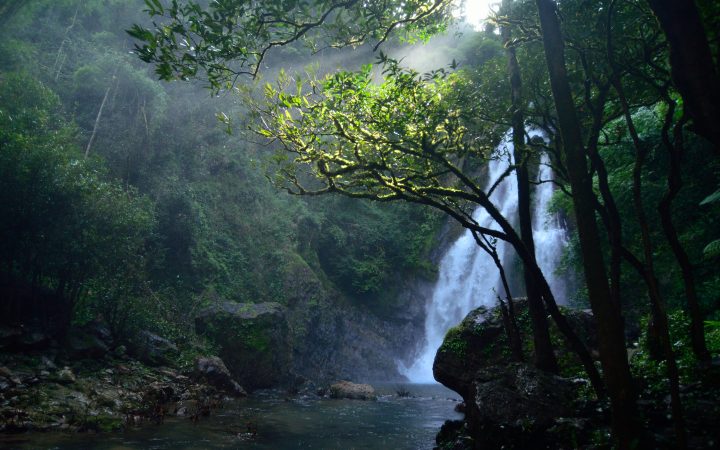 อุทยานแห่งชาติศรีพังงา