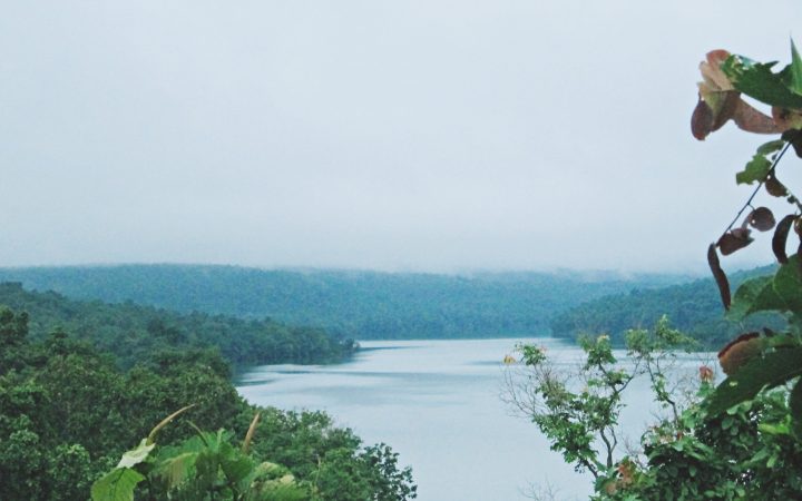 อุทยานแห่งชาติภูผายล