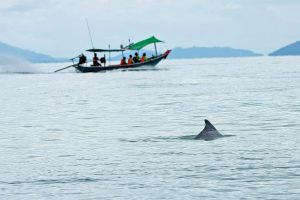 อุทยานแห่งชาติหาดขนอม-หมู่เกาะทะเลใต้