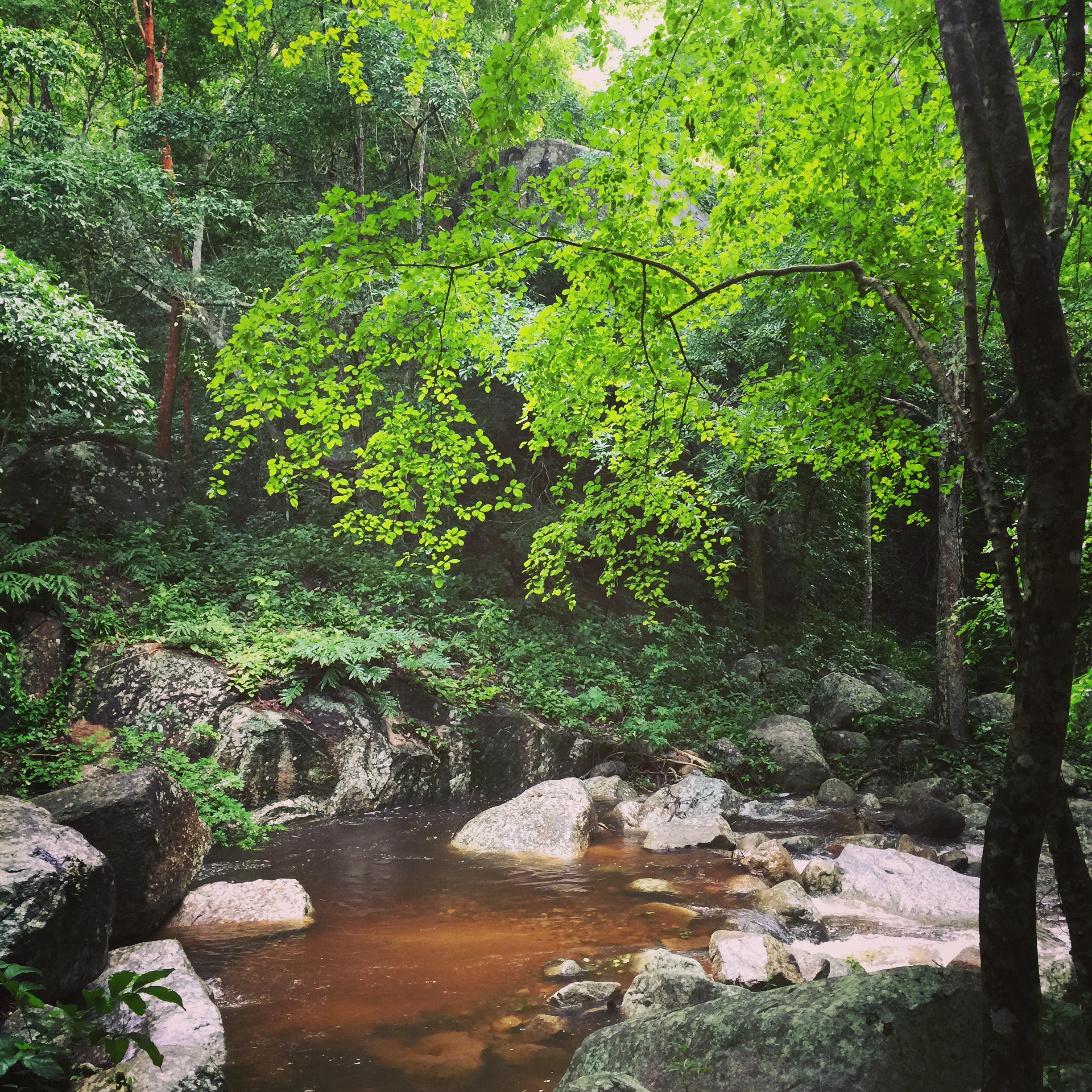 อุทยานแห่งชาติน้ำตกห้วยยาง