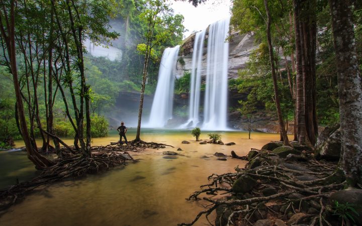 อุทยานแห่งชาติภูจองนายอย