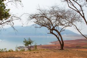 อุทยานแห่งชาติศรีลานนา