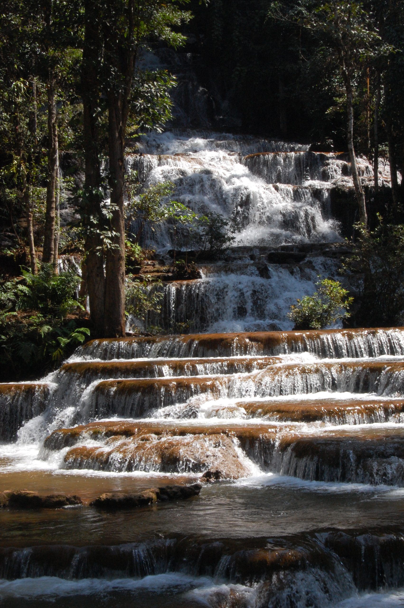 อุทยานแห่งชาติน้ำตกพาเจริญ