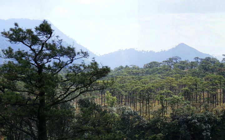 อุทยานแห่งชาติภูสอยดาว