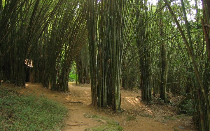 อุทยานแห่งชาติน้ำหนาว