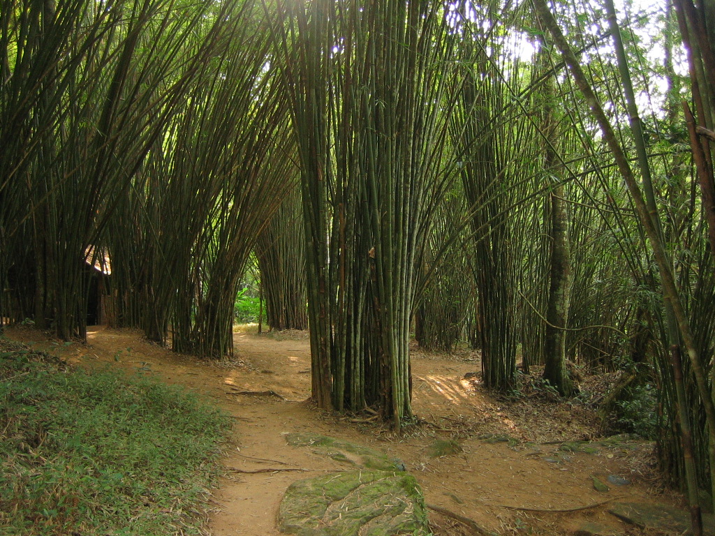 อุทยานแห่งชาติน้ำหนาว